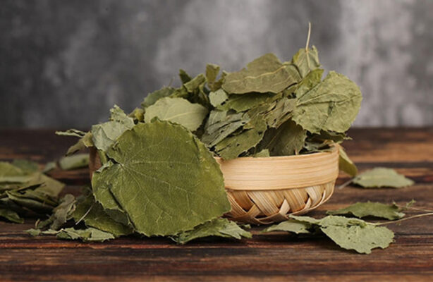 Cách ngâm rượu dâm dương hoắc chuẩn vị nhất