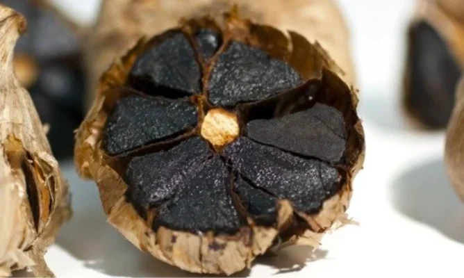 Công dụng của tỏi đen và mật ong cho sức khỏe