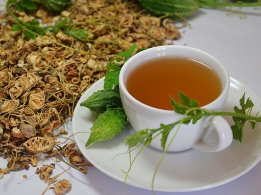 Lá khổ qua rừng Tây Bắc có công dụng gì