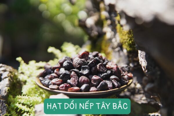 Nấu thắng cố cần những gia vị nào