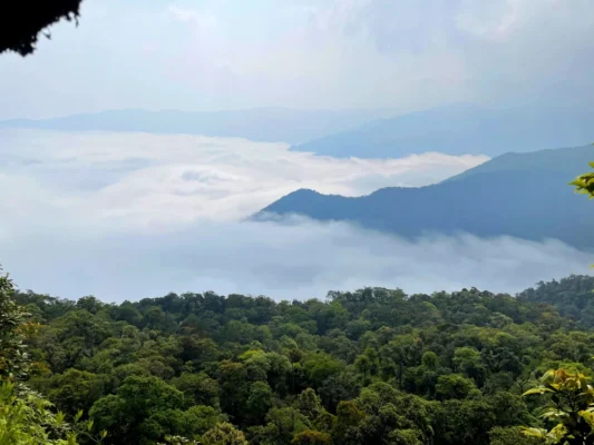 Vườn quốc gia Vũ Quang Hà Tĩnh