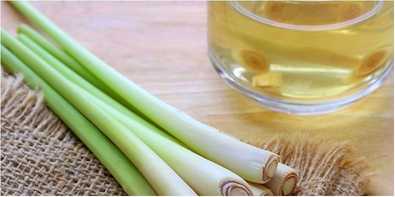 Lý do nên uống trà sả mỗi ngày