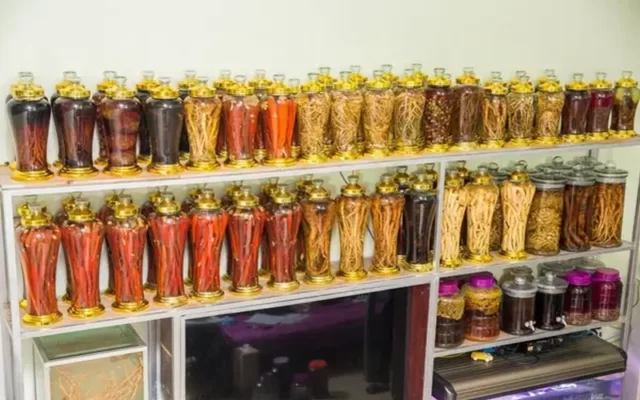 Giới thiệu một số dược liệu Tây Bắc ngâm rượu