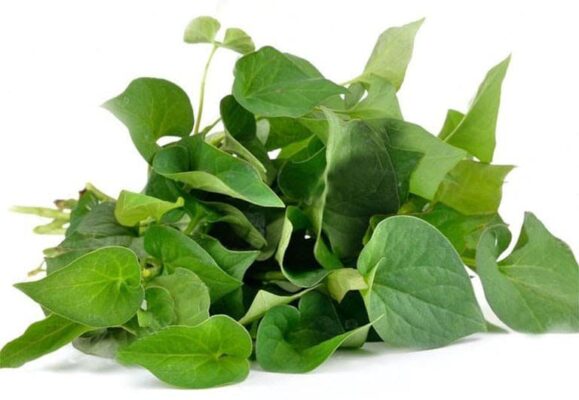 01 số lợi ích của rau diếp cá