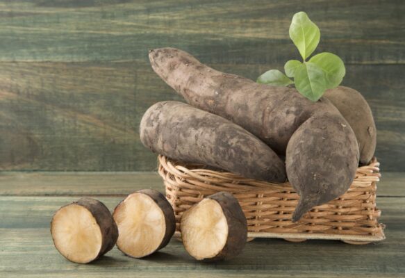 Công dụng của củ khoai sâm