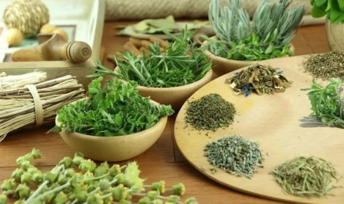 Lợi ích của lá lốt đối với sức khỏe