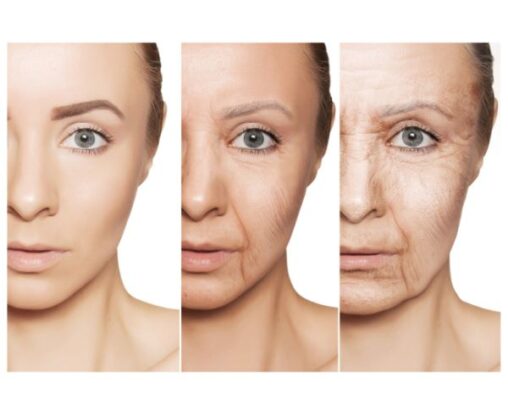 Collagen có trong những loại quả nào?