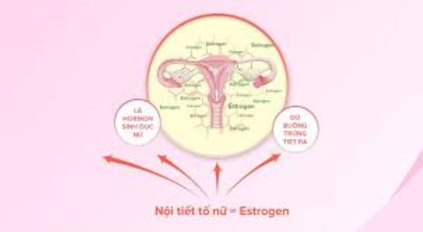 Lí do suy giảm nội tiết tố ở phụ nữ