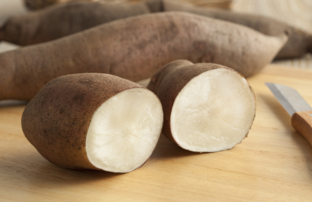 Lưu ý khi sử dụng thảo dược sâm đất