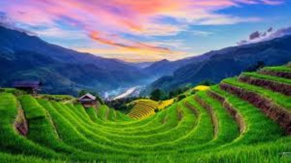 Tour du lịch Sapa 3 ngày 2 đêm Tour du lịch Sapa 3 ngày 2 đêm