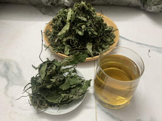 Cách sử dụng lá đắng Tây Bắc làm thuốc