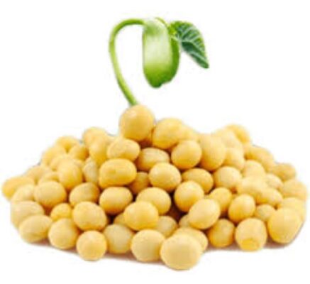 Công dụng của mầm đậu nành với sức khỏe