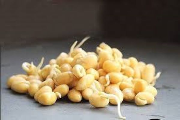 Mầm đậu nành là gì?