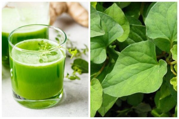 Cách làm nước ép rau diếp cá đơn giản tại nhà