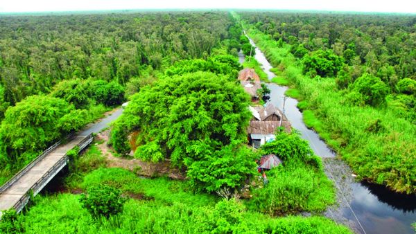 Rừng U Minh Hạ ở đâu?