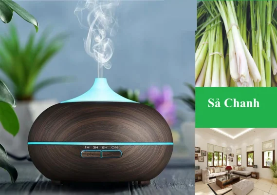 Các ứng dụng khác của tinh dầu sả chanh