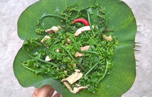 Món ngon từ rau rừng Tây Bắc