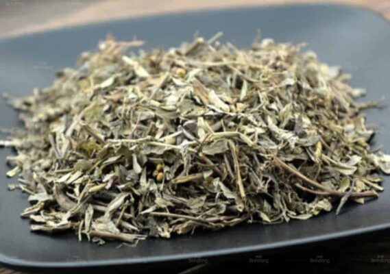 Công dụng trị mụn, tàn nhang của diệp minh châu