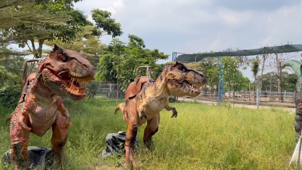 Vườn thú Mỹ Quỳnh - Vườn thú Củ Chi Sài Gòn