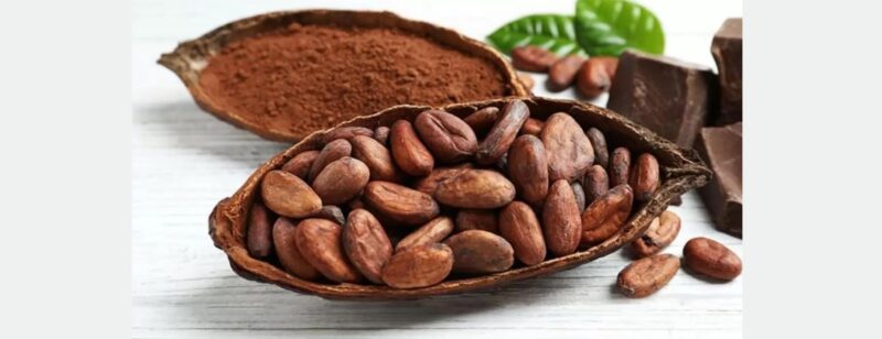 Những người không nên uống cacao