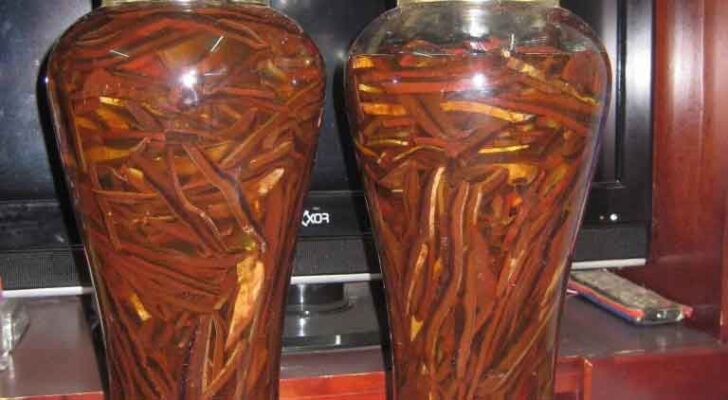 Sâm cau rừng có tác dụng gì?