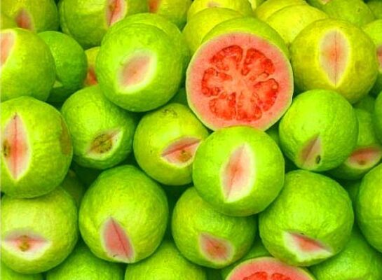 Tác dụng của rượu ổi với sức khỏe