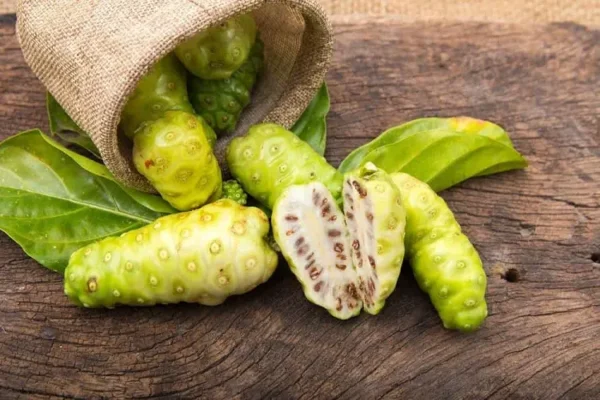 Quả nhàu có tác dụng gì