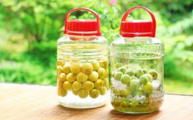 Tác hại của rượu ổi không phải ai cũng biết