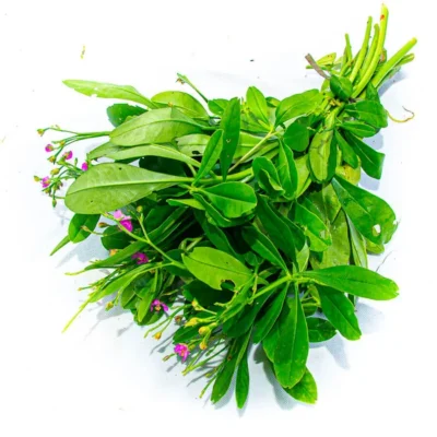 Cây sâm đất giá trị dinh dưỡng và tác dụng