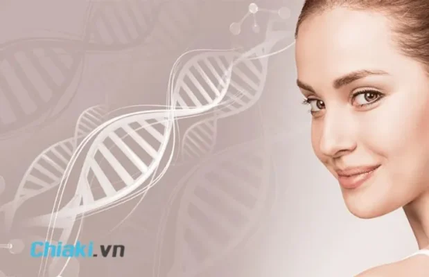 Những thực phẩm có collagen tươi