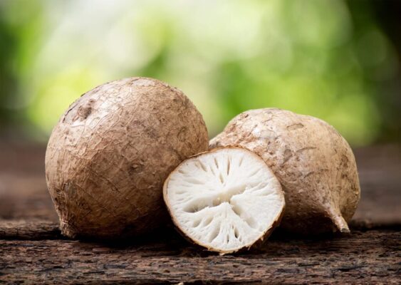 Sâm tố nữ là gì?