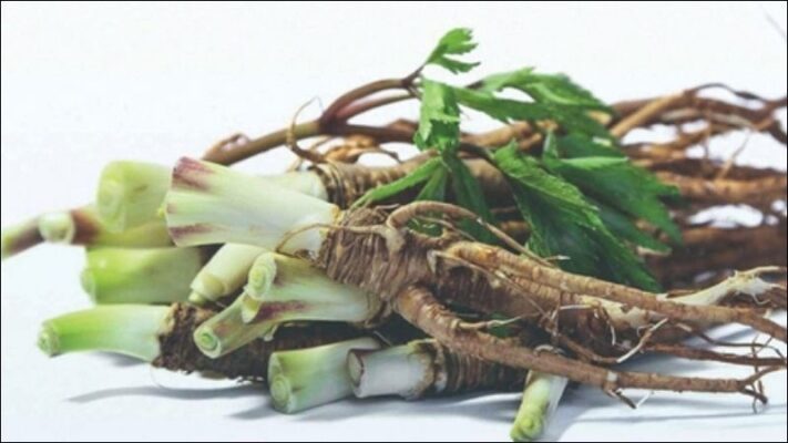 Cách sử dụng lá sâm đương quy