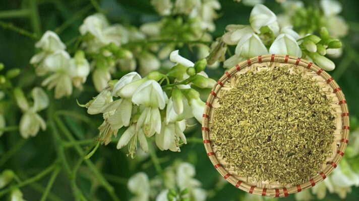 01 số bài thuốc hay từ nụ hoa hòe