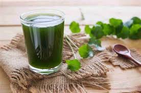 nước ép rau má đậu xanh