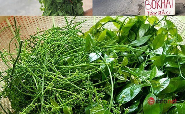 Các loại rau Sapa ngon quên lối về