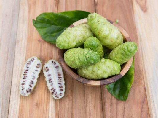 Công dụng của quả nhàu tươi