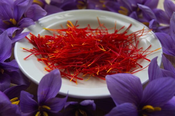 Nhuỵ hoa nghệ tây
