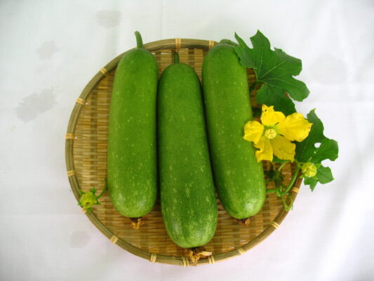 Uống nước bí đao có tác dụng gì?