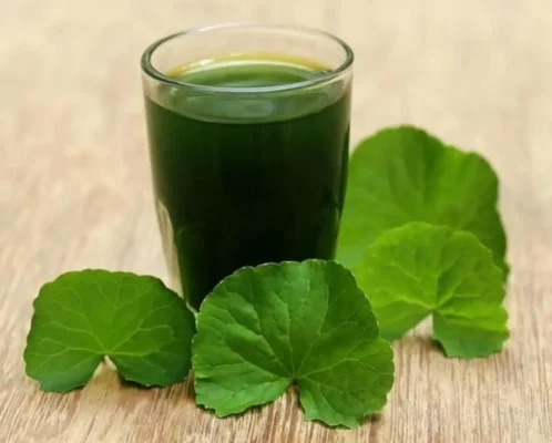 Nước ép rau má