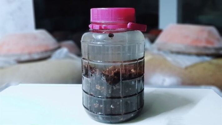 Lưu ý khi sử dụng rượu sim rừng