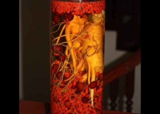 Cách ngâm rượu đinh lăng với kỳ tử