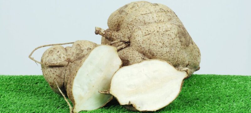 Những lưu ý khi sử dụng sâm tố nữ