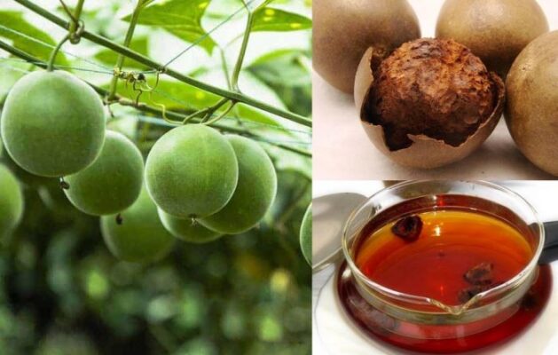 Tìm hiểu quả la hán là gì