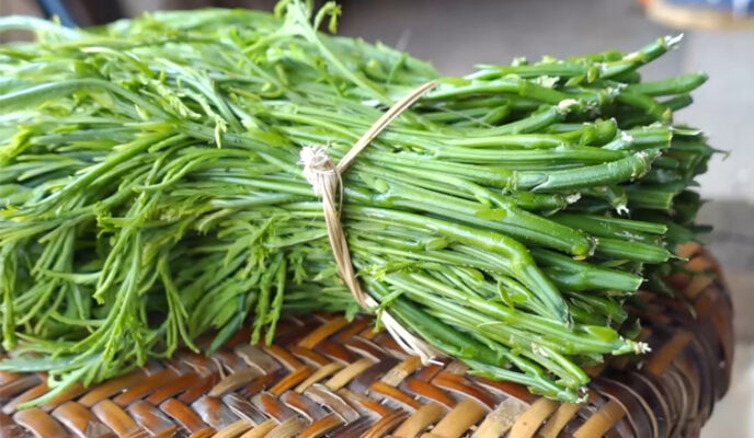 Rau rừng Tây Bắc