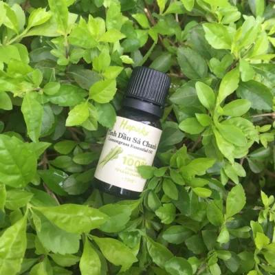 Công dụng của tinh dầu sả chanh nguyên chất
