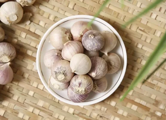 Tỏi cô đơn ngâm mật ong có tác dụng gì