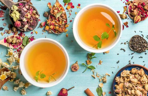 01 số loại trà thảo mộc từ sâm tố nữ