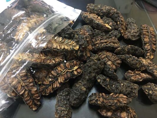 Tác dụng của quả nhàu khô