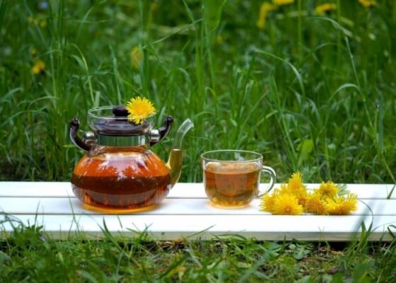 Trà bồ công anh có tác dụng gì?