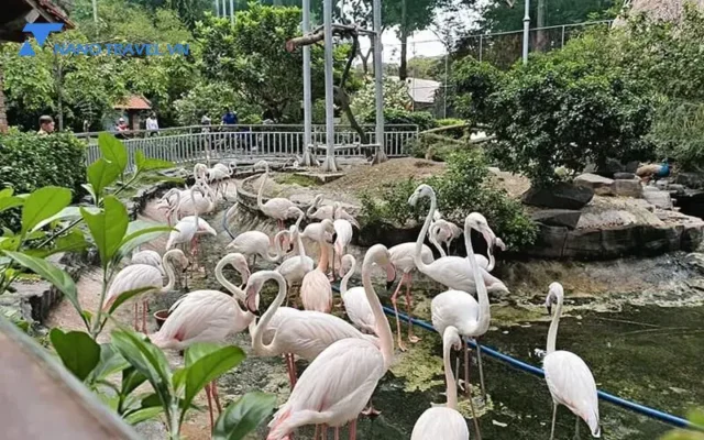 Vườn thú King’s Garden ở VinWonders Nha Trang